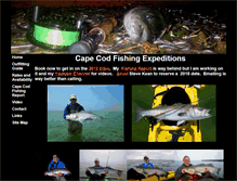 Tablet Screenshot of capecodfishingexpeditions.com